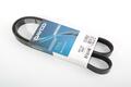 Alfa Romeo Panda 12- Auxiliary Belt. Part Number 55230399