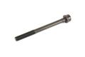 Fiat Punto Head bolts. Part Number 55252339