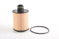 Alfa Romeo 500L Oil Filter. Part Number 71770689