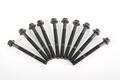 Alfa Romeo Panda 03-11 Head bolts. Part Number 7696197